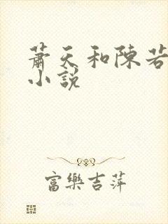 萧天和陈若雪的小说