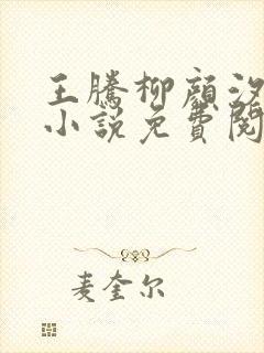 王腾柳颜汐穿越小说免费阅读