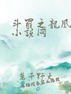 斗罗之龙凰传说小说网