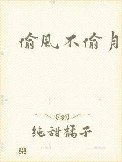 偷风不偷月剧透