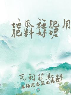 地瓜施肥用什么肥料好呢 地瓜施肥用什么肥料好呢