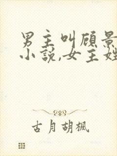 男主叫顾景琛的小说,女主姓慕