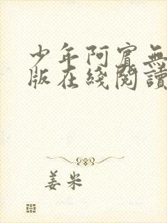 少年阿宾无删减版在线阅读