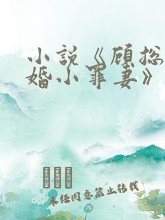 小说《顾总的隐婚小罪妻》