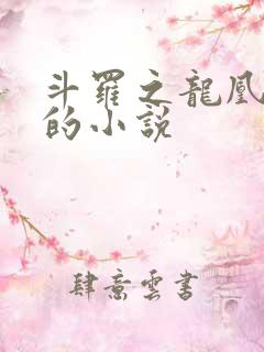 斗罗之龙凰传说的小说