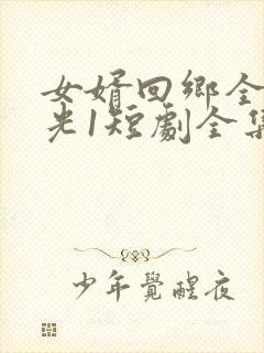 女婿回乡全村风光1短剧全集