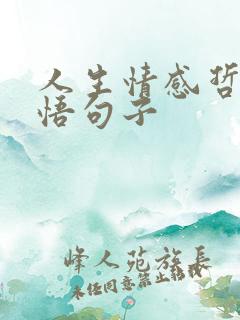 人生情感哲理感悟句子
