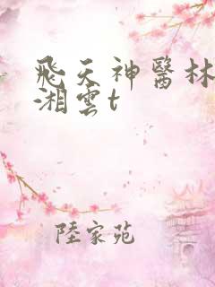 飞天神医林飞刘湘云t