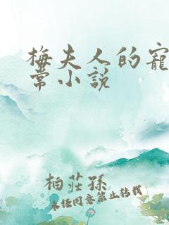 梅夫人的宠夫日常小说