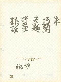 孙哲叶巧朱颜小说笔趣阁