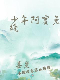 少年阿宾免费在线