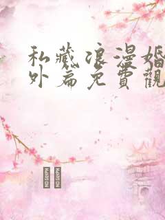 私藏浪漫婚后番外篇免费观看