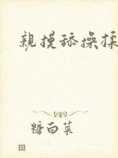 亲摸舔操揉