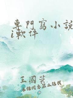 专门写小说的ai软件
