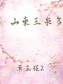 山东玉米多少钱
