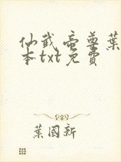 仙武帝尊叶辰全本txt免费