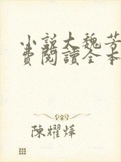 小说大魏芳华免费阅读全本