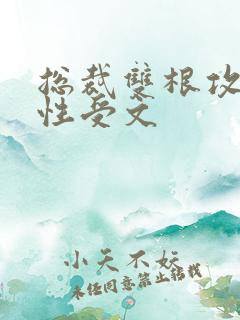 总裁双根攻和双性受文