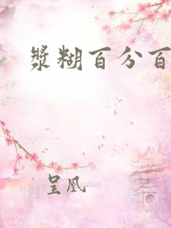 浆糊百分百
