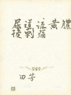 尿道流黄脓小便后刺痛