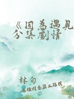《因为遇见你》分集剧情