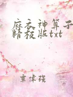 麻衣神算子完整精校版txt