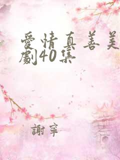 爱情真善美电视剧40集