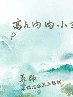 高h肉肉小说np