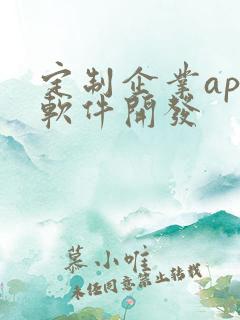 定制企业app软件开发