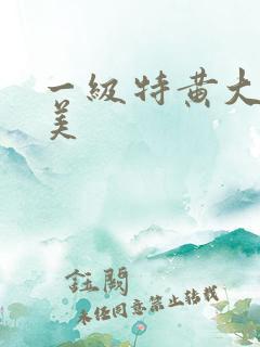 一级特黄大片欧美