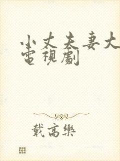 小丈夫妻大姐 电视剧