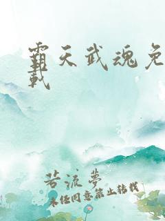 霸天武魂免费下载