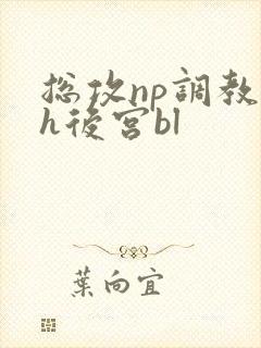 总攻np调教高h后宫bl