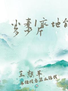 小麦1亩地能产多少斤