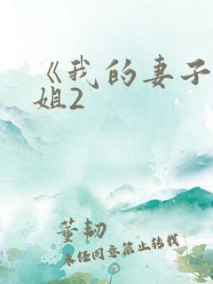 《我的妻子的姐姐2