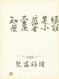 知否应是绿肥红瘦原著小说免费阅读
