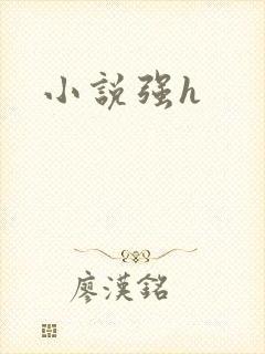 小说强h