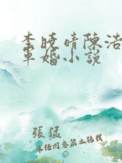 李晓晴陈浩然的军婚小说