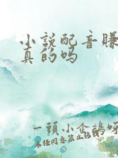 小说配音赚钱是真的吗