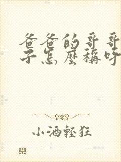 爸爸的哥哥的儿子怎么称呼