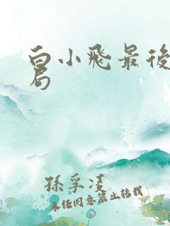 白小飞最后的结局