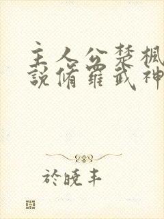 主人公楚枫的小说修罗武神