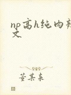 np高h纯肉辣文