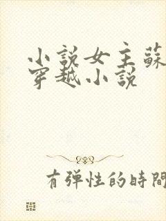 小说女主苏时锦穿越小说