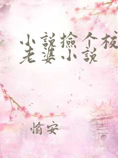 小说捡个校花做老婆小说