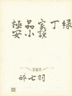 极品家丁绿帽版安小说