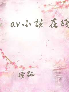 av小说 在线