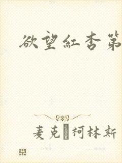 欲望红杏第二部
