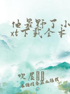 他最野了小说txt下载全本免费 他最野了小说txt下载全本免费