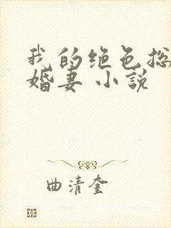 我的绝色总裁未婚妻 小说
